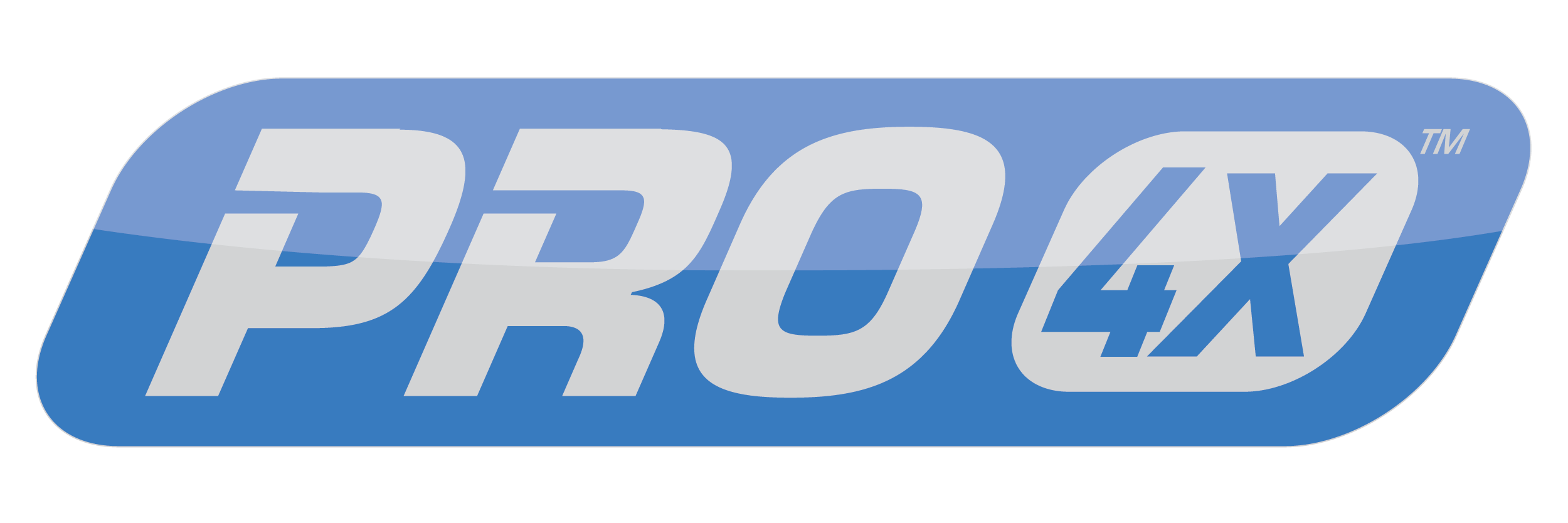 Logo pro4x